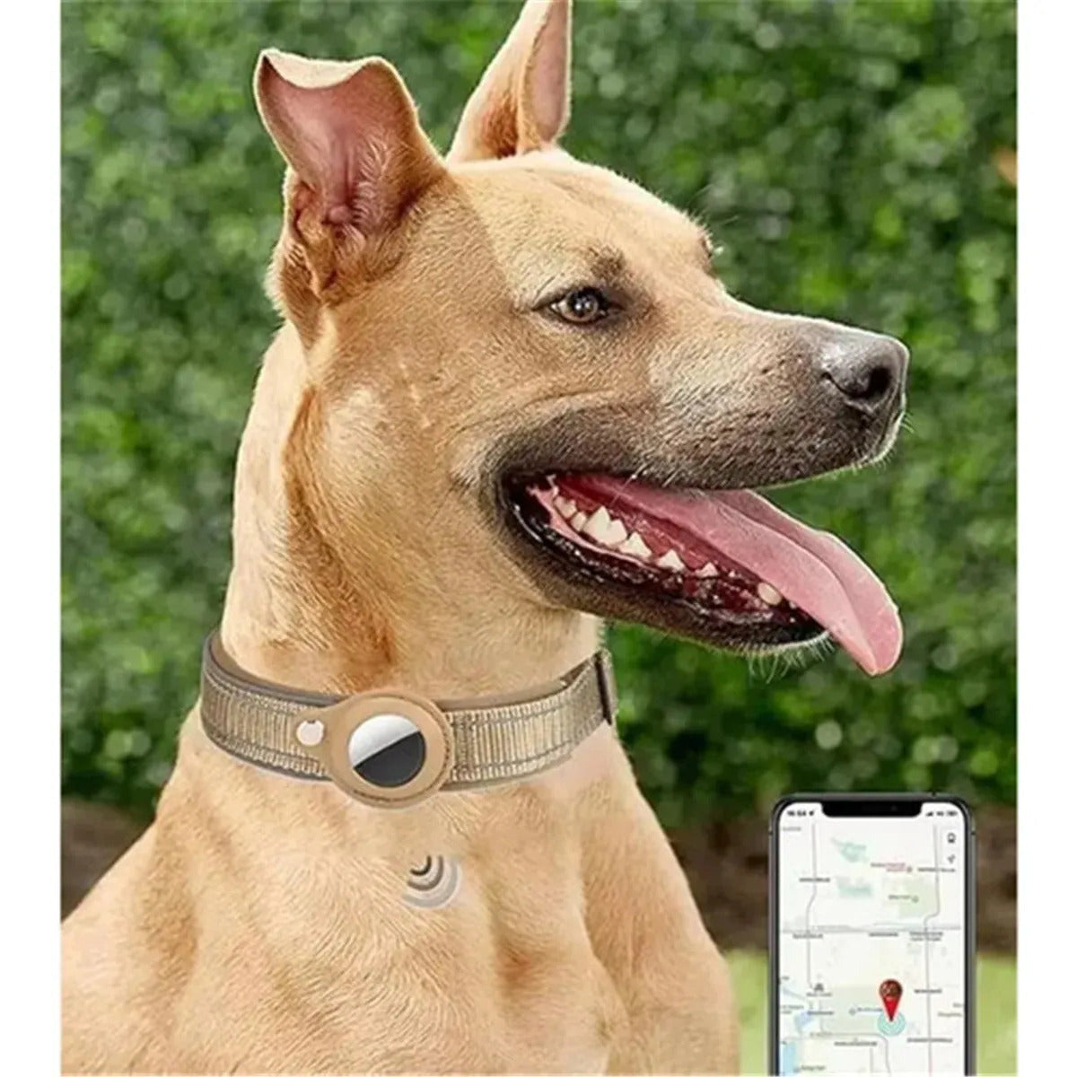 Integrated Dog Collar - Reflective Heavy-duty Nylon Collar