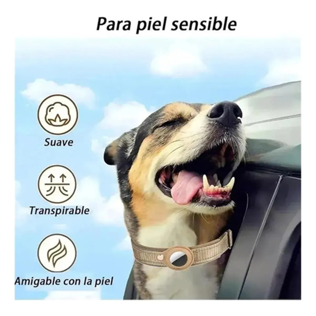 Integrated Dog Collar - Reflective Heavy-duty Nylon Collar