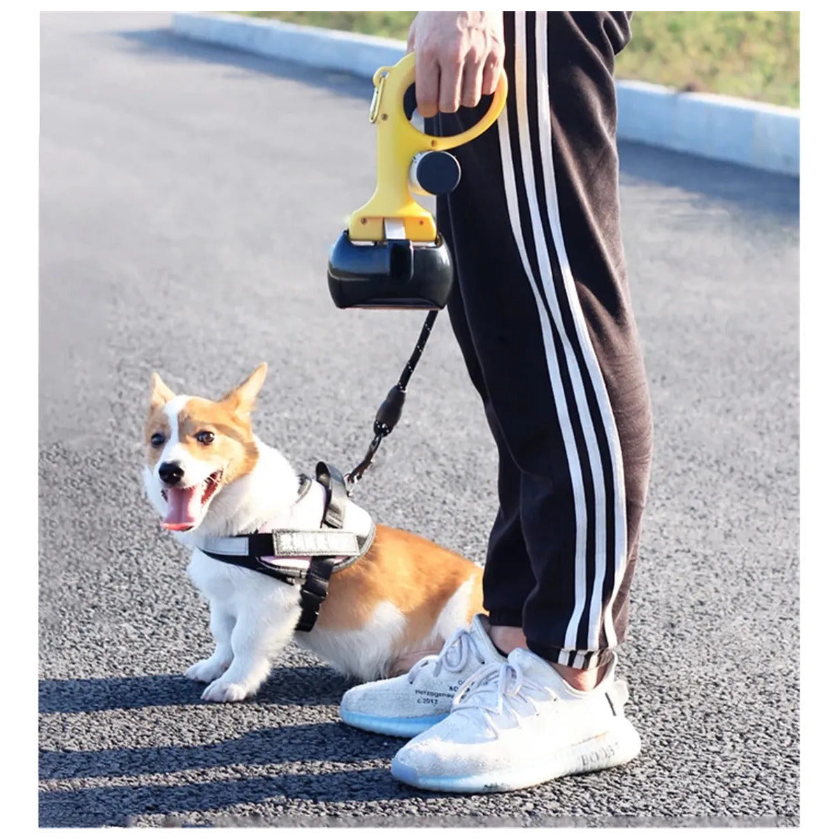 Portable Handheld Pet Pooper Scooper With Waste Bag