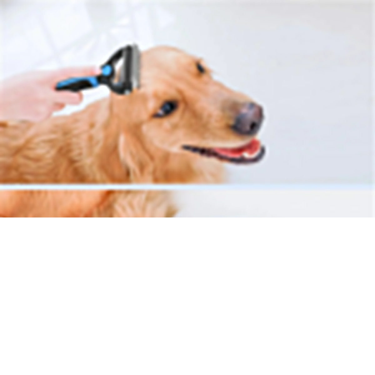 Professional Pet Grooming 4-piece Set